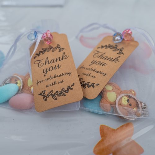 LR_Gender-reveal_Fam-Blankestijn35